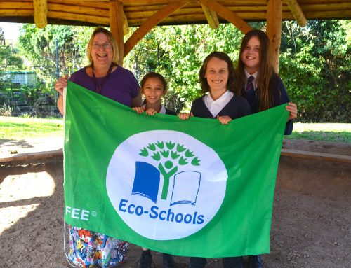 Eco-Award for Avanti Park School